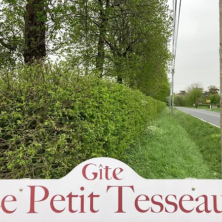 Gite du Petit Tesseau Candé Extérieur photo